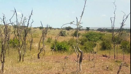 Isso é injusto apesar da natureza seguir seu curso