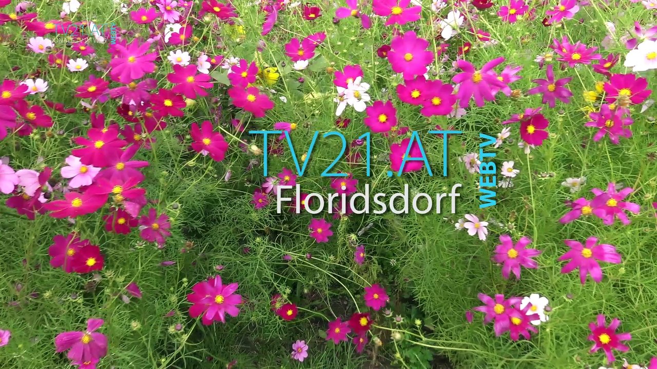 5 Jahre Gemeinsame Landwirtschaft Wilde Rauke