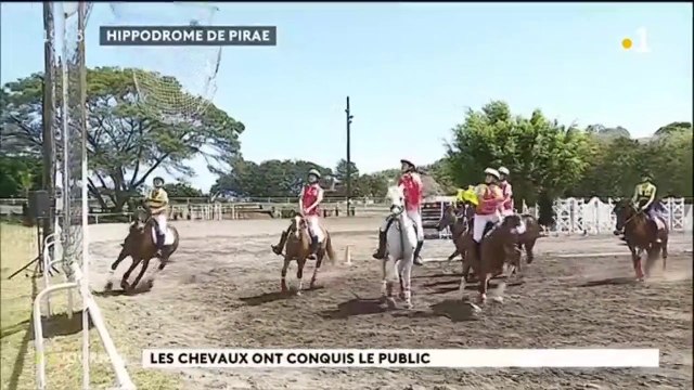 Les chevaux ont conquis le public