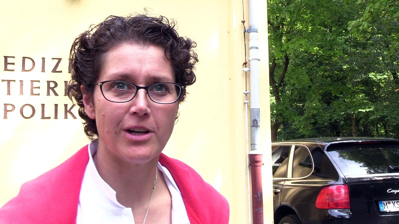 Sprechstunde für fettleibige Haustiere