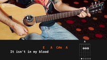 IN MY BLOOD - Shawn Mendes (aula de violão simplificada)