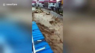 Cars swept away as flash floods surge through streets of Chinese city