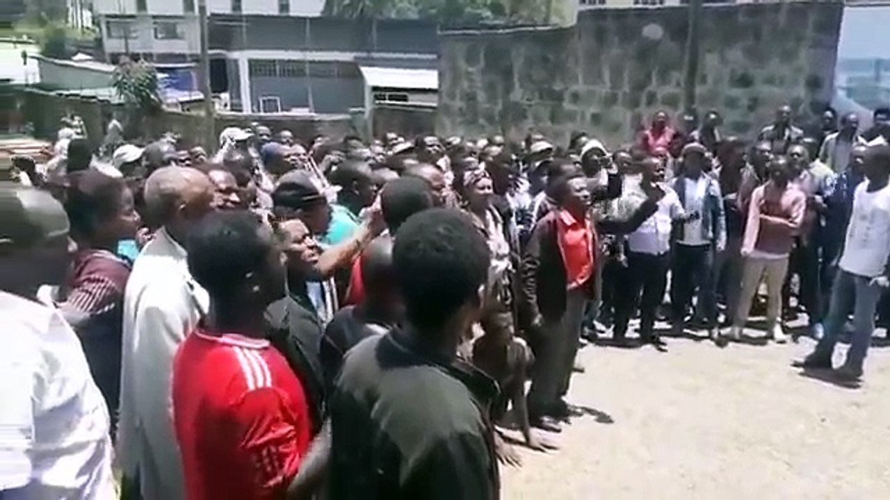 መላው ኢትዮጵያዊ ሆይ ነገሮች እየተበላሹ ስለመጡ ቄሮ በሚባል የጃዋር እንስሶች ላይ መዝመት አለብን