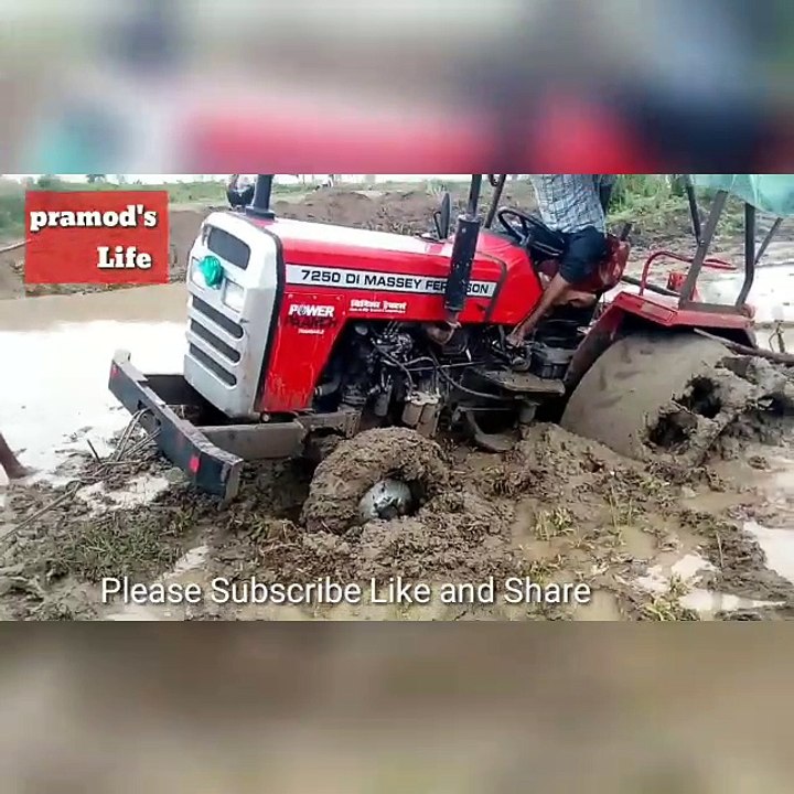 Funny videos