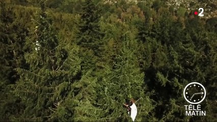 Sans frontière -  Allemagne : Au sommet des sapins