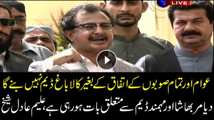 No Kalabagh Dam without consensus, says PTI’s Haleem Sheikh