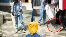 Video gagal tangkap ular karena karung bolong - TomoNews