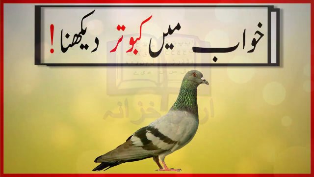 khwabon ki tabeer in urdu - khwab mein kabootar dekhnay ki tabeer