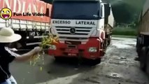 HILARIOS - FUNNY Drivers - Epic Fails and Crashes