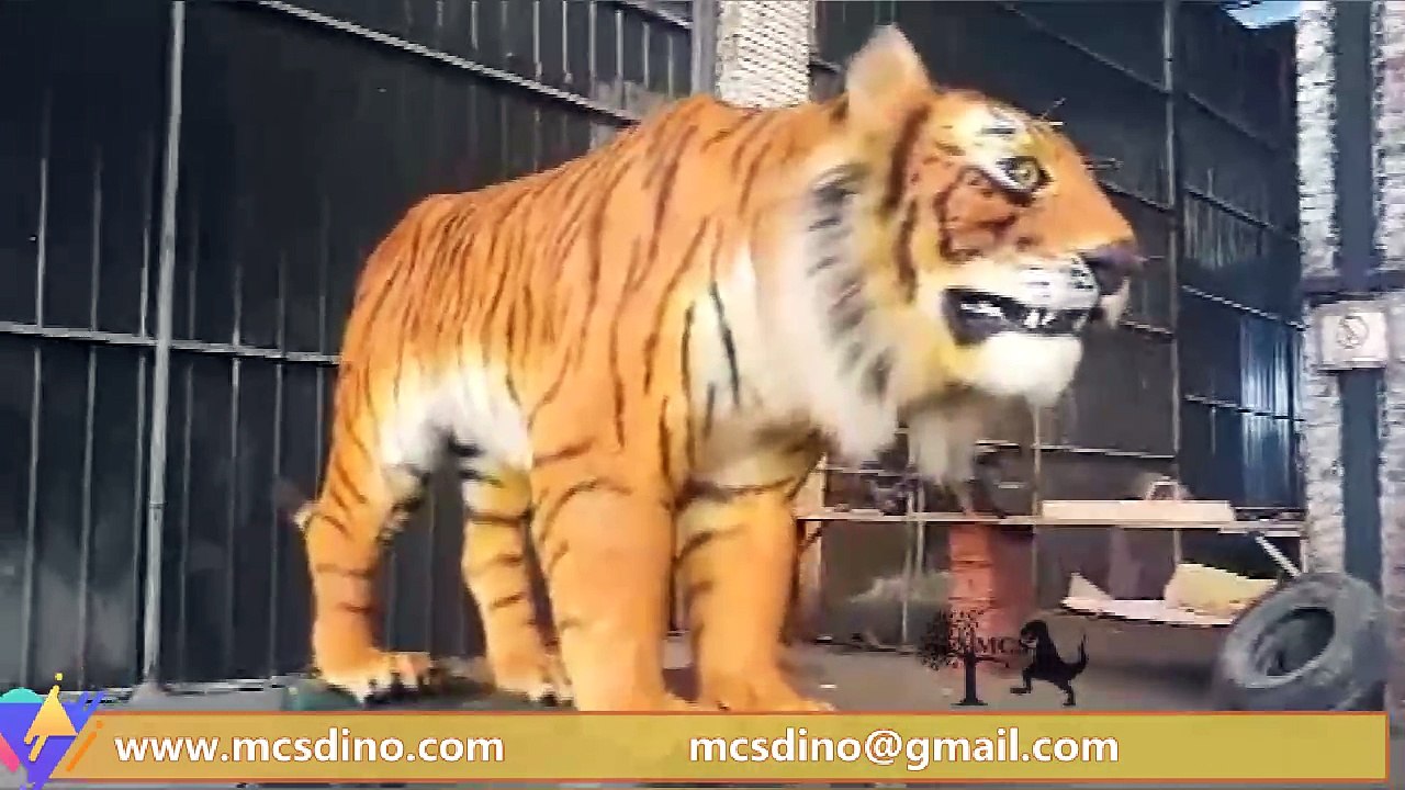 MAT003-Tiger
