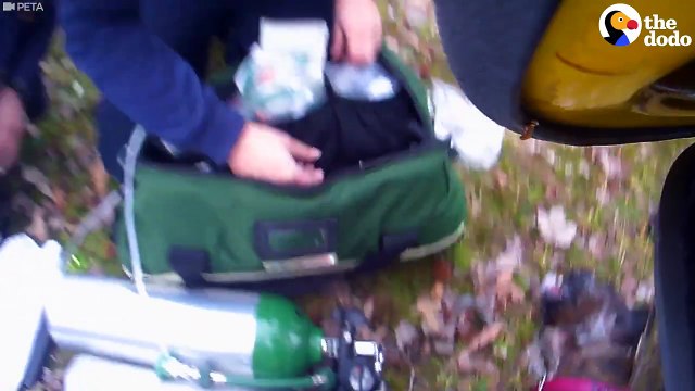 Here's proof that firefighters are true HEROES