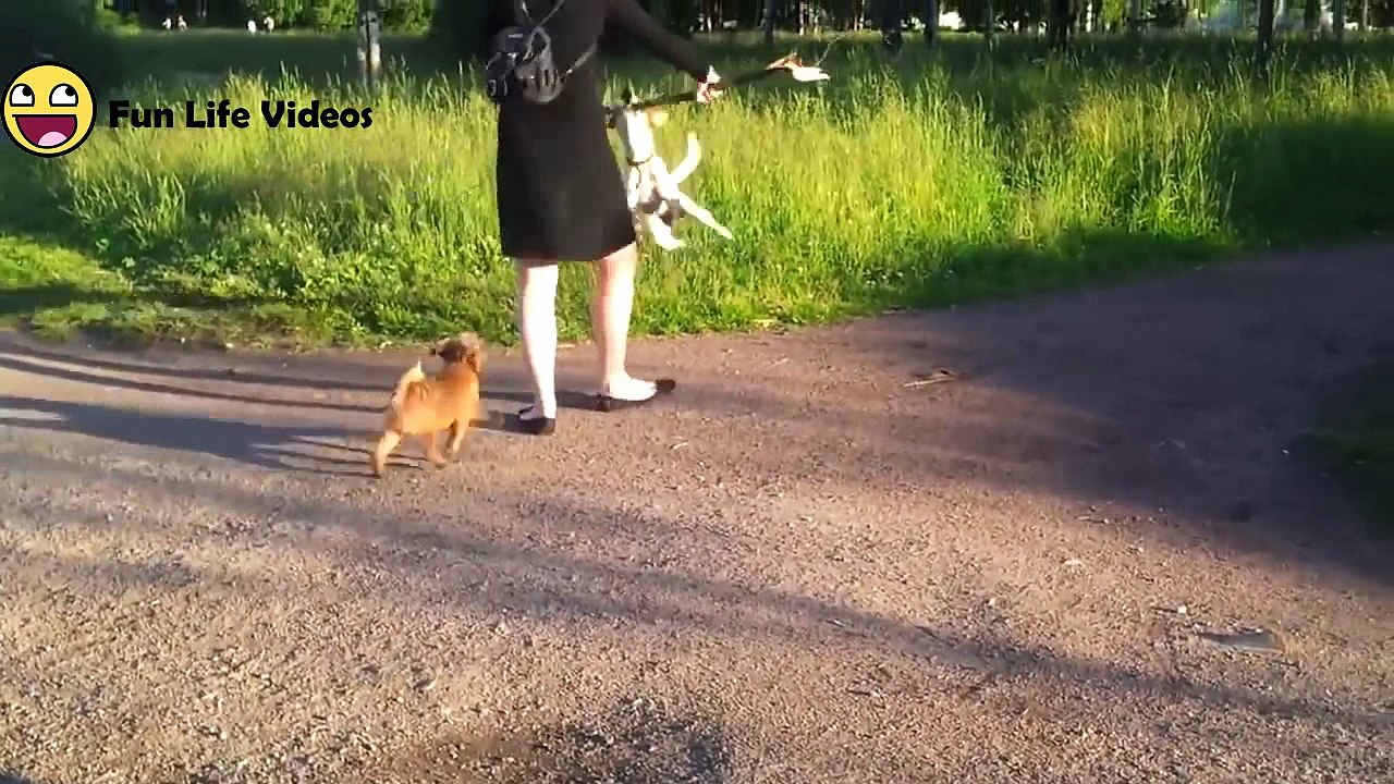 Best Fails of April 2018 - Funny Fail Compilation Try Not to Laugh Challenge ft