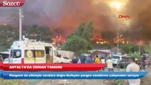 Antalya’da orman yangını