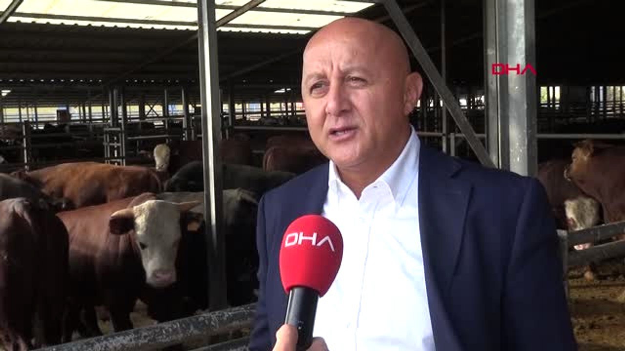 Karakuş Türkiye'nin Yurt Dışından Hayvan İthal Etme Zorunluluğu Kalkacak