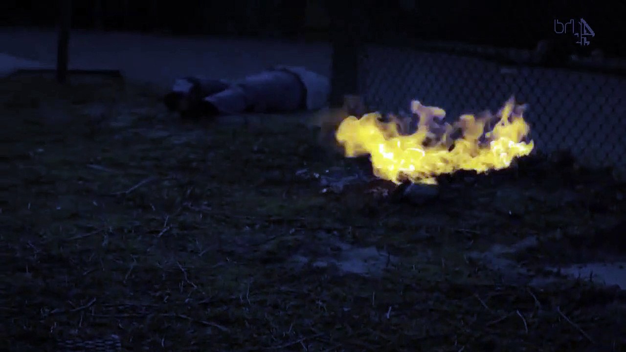 Dead Set S01 E04  Running