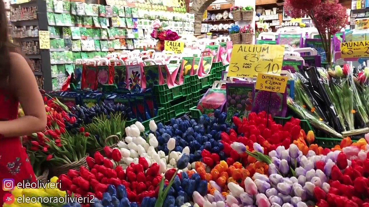 I miei fan CONTROLLANO la mia VITA per una SETTIMANA  mi mandano in giro per il mondo