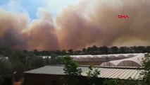 Antalya Kumluca'da Orman Yangını-3