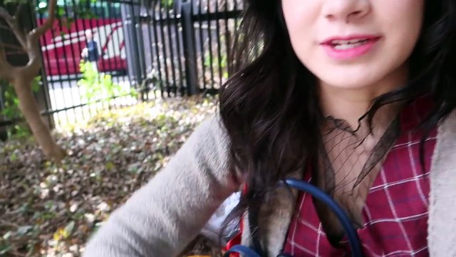 Driving to the BEST places in Tokyo to see Cherry Blossoms Sakura