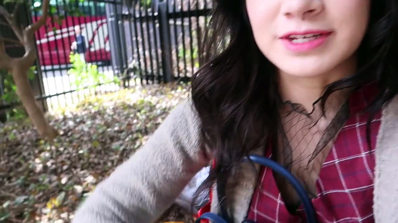 Driving to the BEST places in Tokyo to see Cherry Blossoms   Sakura