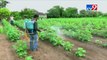 Dhoraji farmers panicked as fertilizers bought under GST- Tv9 Gujarati