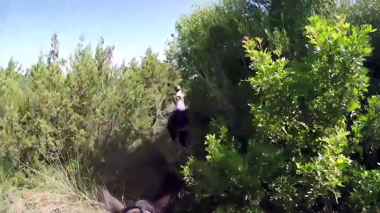 CAVALCANDO LA SARDEGNA (2)
