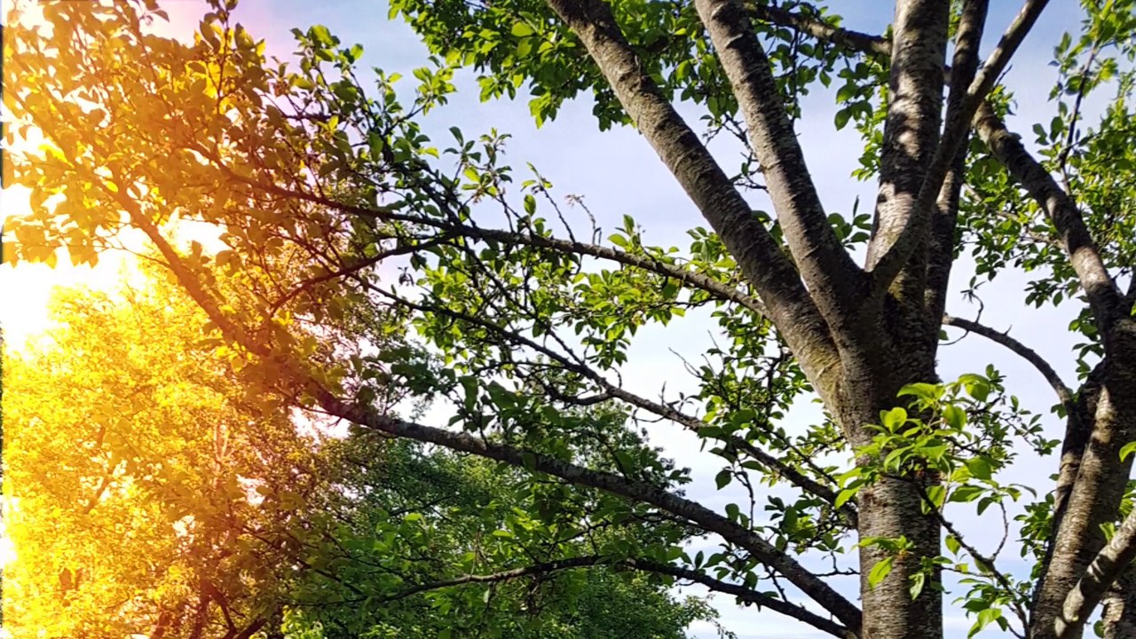 KÄRNTEN ALTHOFEN HUMANO-MED KURORT#2