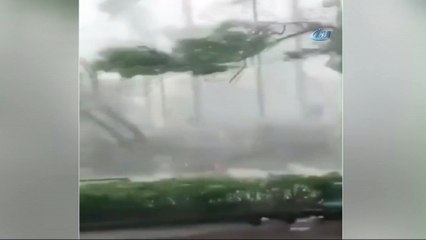 - Çin'i Vuran Mangkhut Tayfununda Bilanço Artıyor: 4 Ölü, 200 Yaralı