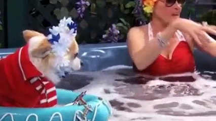 Jessie S01E12 Romancing The Crone