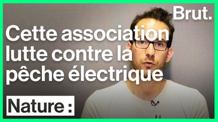 Une association contre la pêche électrique