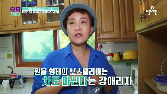 관절과 연골 건강에 도움되는 식품, 보스웰리아의 정체는?!