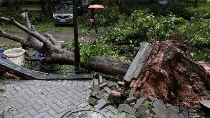Mangkhut Tayfunu: 68 kişi öldü; 2,5 milyon kişi evlerinden tahliye edildi