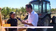 SO CITY - Du raisin à la bouteille! Les vendanges 2018 c'est parti!