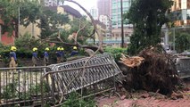 Typhon en Chine: grand nettoyage à Hong Kong après Mangkhut