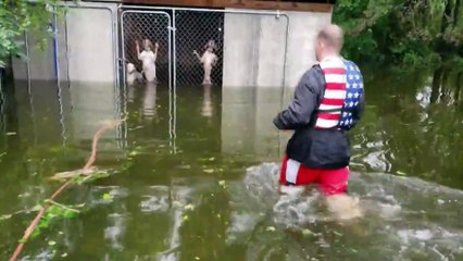 Honden door het dolle na reddingsactie