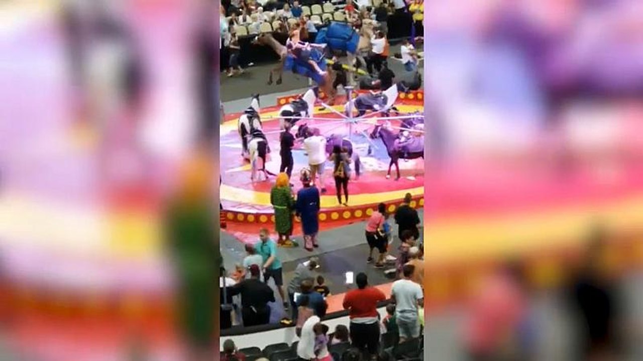 Etats-Unis : un dromadaire de cirque blesse légèrement 7 personnes