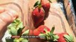 Australie : des fraises ont été retrouvées avec des aiguilles à l'intérieur