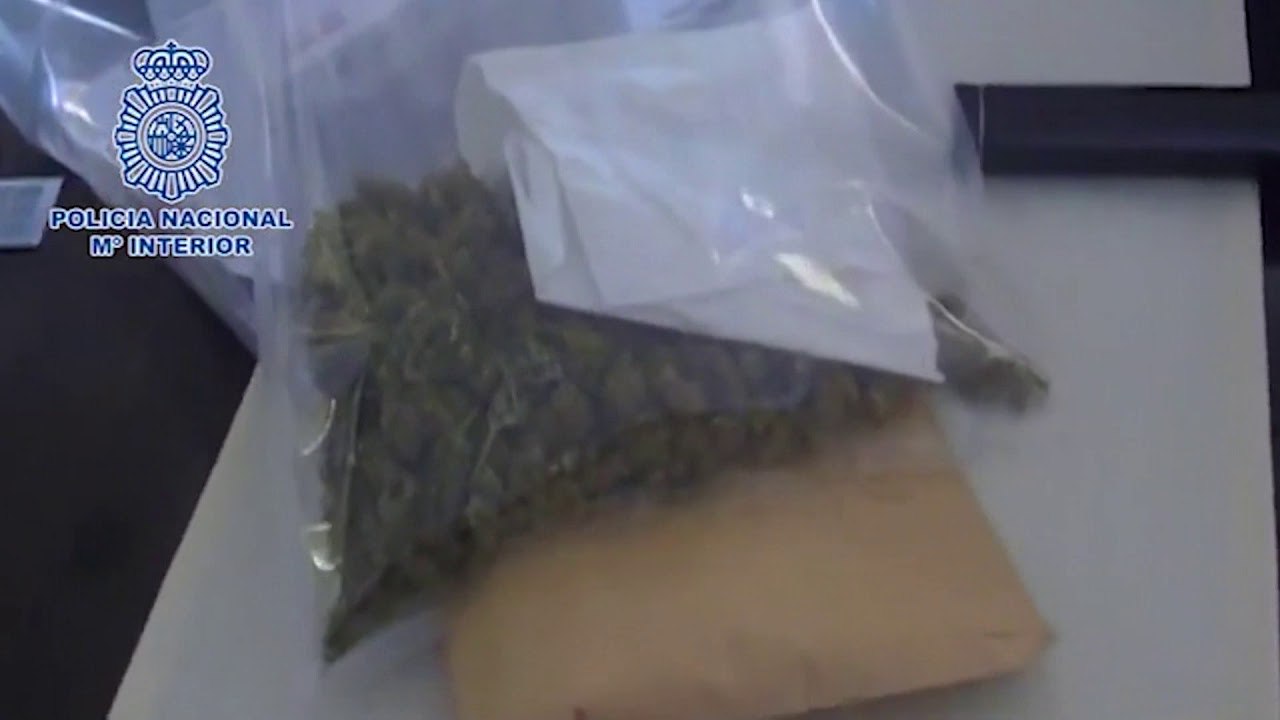 Ora News - BE aksion kundër krimit nga Ballkanin Perëndimor, 500 mije kontrolle