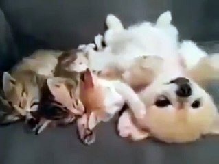 온라인카지노:예스카지노♥ https://yes848.com ♥슈퍼카지노寅트럼프카지노사이트