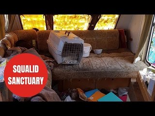 Shocking video reveals squalid conditions at animal sanctuary