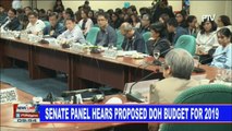 Senate panel hears proposed DOH budget for 2019