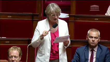 Intervention dans l'hémicycle pour défendre un amendement d'interdiction du glyphosate dans trois ans