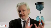 Report: Julian Assange Reportedly Tried To Escape To Russia As British Authorities Closed In
