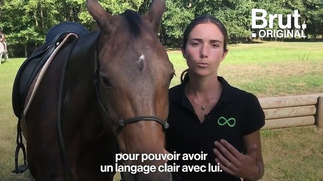 L’équitation éthologique, une façon plus douce et plus juste de travailler le cheval