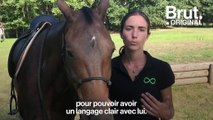 L’équitation éthologique, 