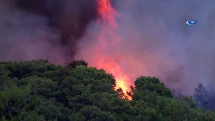Bakan Pakdemirli: “Kumluca yangını kontrol altında diyebiliriz”