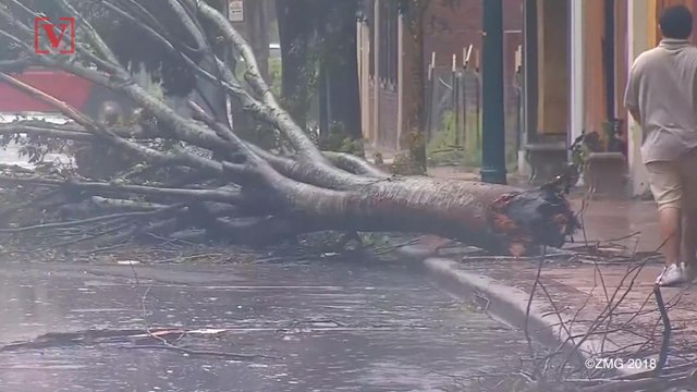 Priest On Fox News Seems To Suggest Hurricane Florence Was Part Of ‘God’s Purpose’