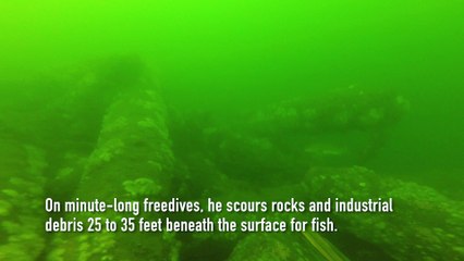 Spearfishing in New York Harbor