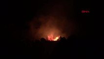 İzmir Ormanlık Alandaki Yangın Kontrol Altına Alındı