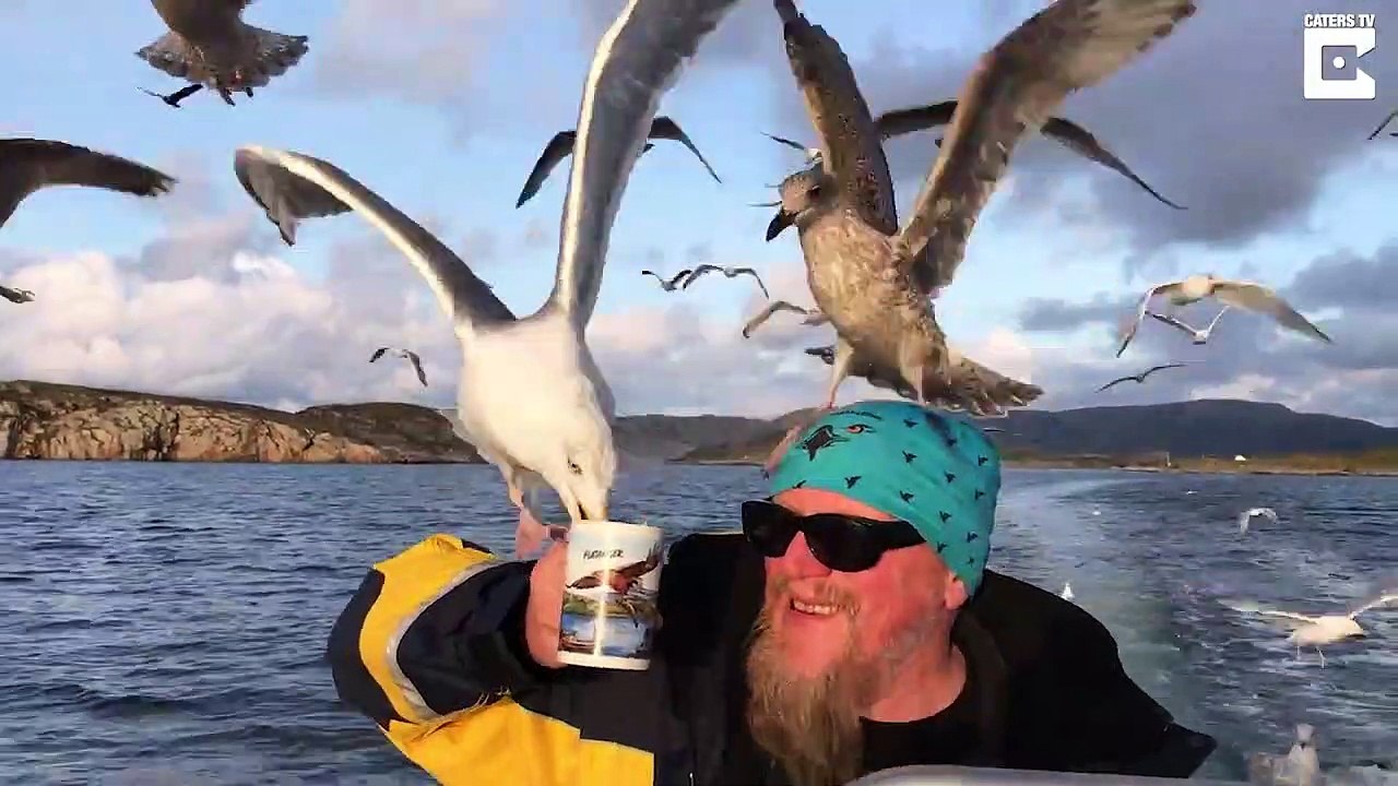 A sailor shares his cup of tea with the seagulls