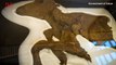 Mummified Ice Age Wolf Pup, Caribou Still Covered with Fur Found by Gold Miners